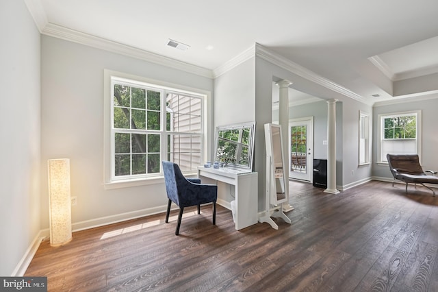 2425 Ellies Way W, Friendship, MD 21794 - office area featuring decorative columns, dark wood-style floors, ornamental molding, healthy amount of natural light, and baseboards