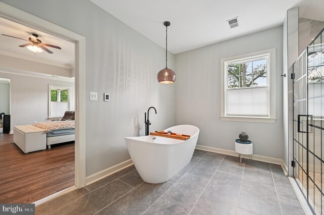 2425 Ellies Way W, Friendship, MD 21794 - ensuite bathroom with plenty of natural light, a freestanding tub, baseboards, and ceiling fan