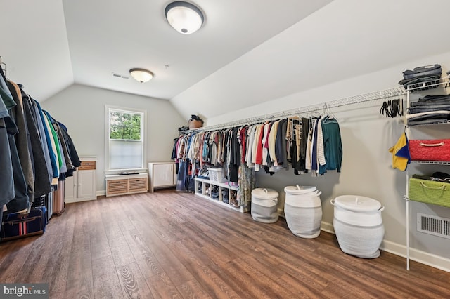 2425 Ellies Way W, Friendship, MD 21794 - walk in closet with hardwood / wood-style floors and lofted ceiling