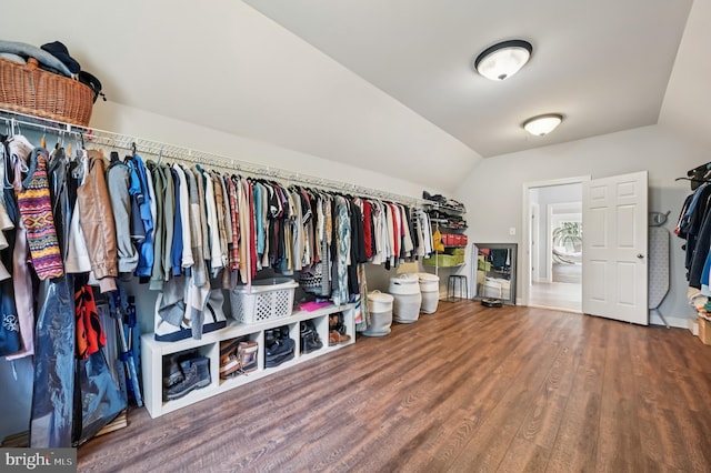 2425 Ellies Way W, Friendship, MD 21794 - spacious closet featuring wood finished floors and lofted ceiling