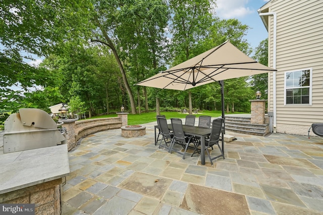 2425 Ellies Way W, Friendship, MD 21794 - view of patio / terrace with outdoor dining space, an outdoor kitchen, and a fire pit