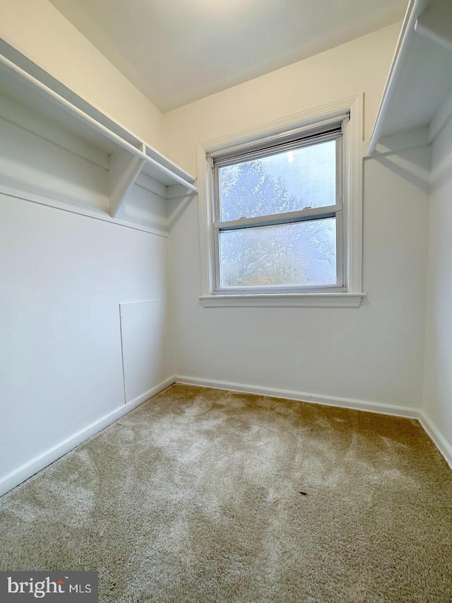 8432 Ravenswood Rd, New Carrollton, MD 20784 - walk in closet featuring carpet