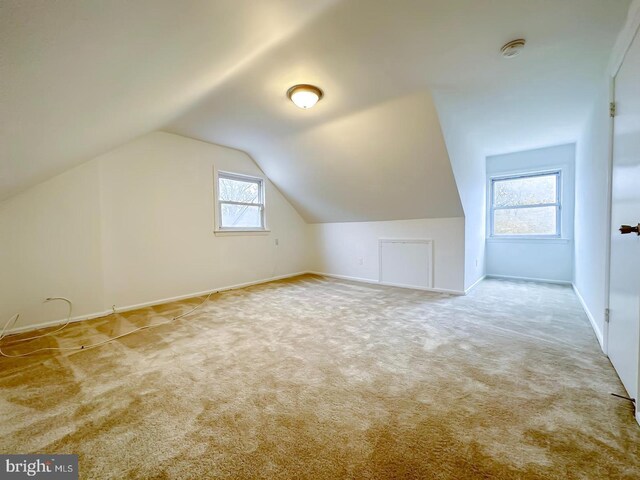 8432 Ravenswood Rd, New Carrollton, MD 20784 - bonus room with carpet, baseboards, and vaulted ceiling