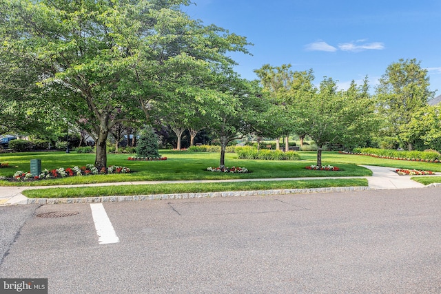 11 Bancroft Ln, Hainesport, NJ 08036 - surrounding community with a yard and view of scattered trees