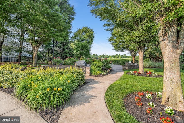11 Bancroft Ln, Hainesport, NJ 08036 - view of property's community with a lawn
