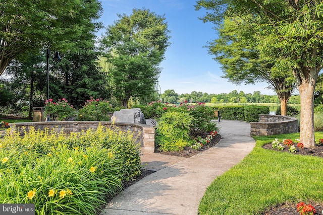 11 Bancroft Ln, Hainesport, NJ 08036 - view of property's community