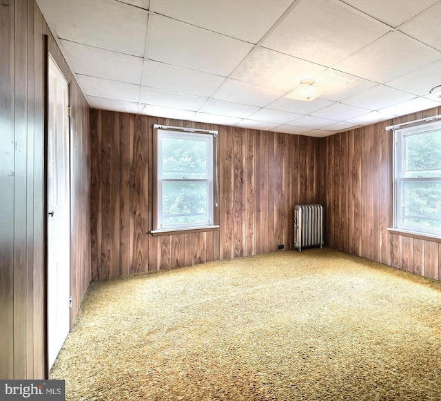 770 Baltimore St, Hanover, PA 17331 - empty room with radiator heating unit, carpet floors, plenty of natural light, and wooden walls