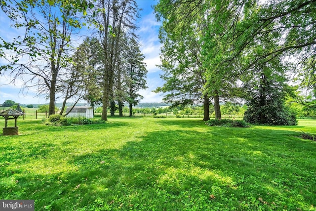 3330 E Prospect Rd, York, PA 17402 - view of green lawn with a gazebo