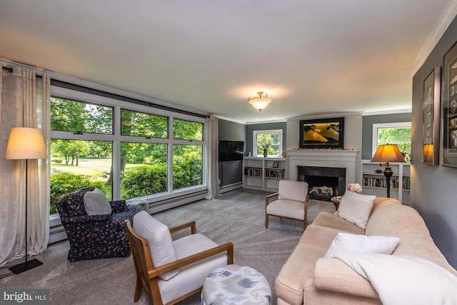 1034-1040 Twin County Rd, Honey Brook, PA 19344 - living area with carpet floors, a fireplace, crown molding, a baseboard heating unit, and baseboard heating