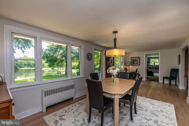 1034-1040 Twin County Rd, Honey Brook, PA 19344 - dining area with radiator, healthy amount of natural light, light wood-style flooring, and baseboards