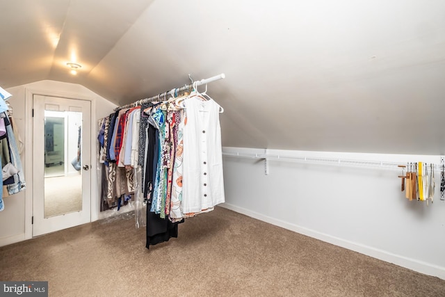 1034-1040 Twin County Rd, Honey Brook, PA 19344 - spacious closet featuring lofted ceiling and carpet flooring