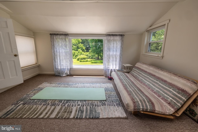 1034-1040 Twin County Rd, Honey Brook, PA 19344 - bedroom featuring vaulted ceiling, multiple windows, and carpet floors