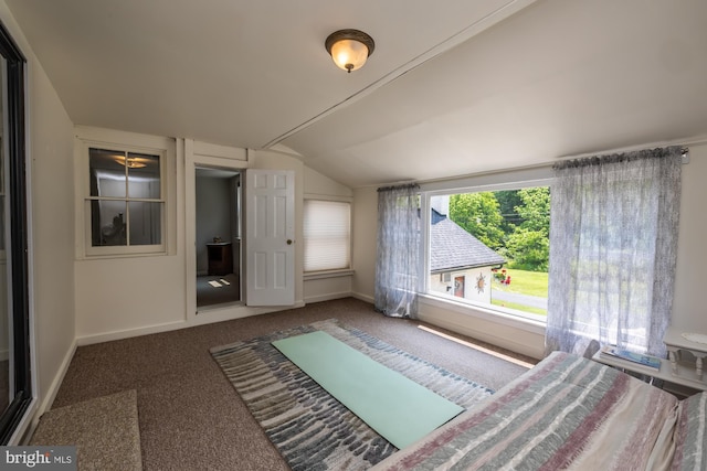 1034-1040 Twin County Rd, Honey Brook, PA 19344 - unfurnished bedroom featuring lofted ceiling, carpet floors, and baseboards