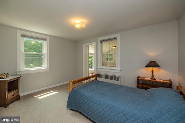 1034-1040 Twin County Rd, Honey Brook, PA 19344 - bedroom featuring radiator, baseboards, and light carpet