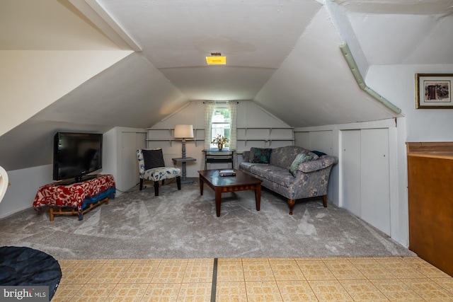 1034-1040 Twin County Rd, Honey Brook, PA 19344 - living area with carpet and vaulted ceiling