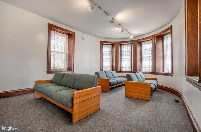 00 Devereux Rd, Glenmoore, PA 19343 - carpeted living area with rail lighting and plenty of natural light