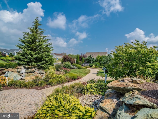 6 Stine Ct, Middletown, MD 21769 - view of home's community