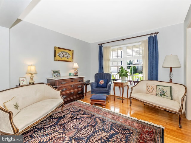 6 Stine Ct, Middletown, MD 21769 - living area with wood finished floors