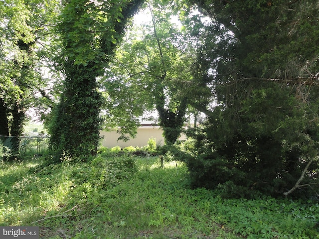 11 W Glendale Ave, Pleasantville, NJ 08232 - view of yard