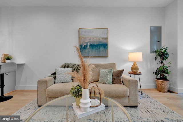 3210 8th St NE Unit 1, Washington, DC 20017 - living room featuring electric panel, baseboards, and wood finished floors