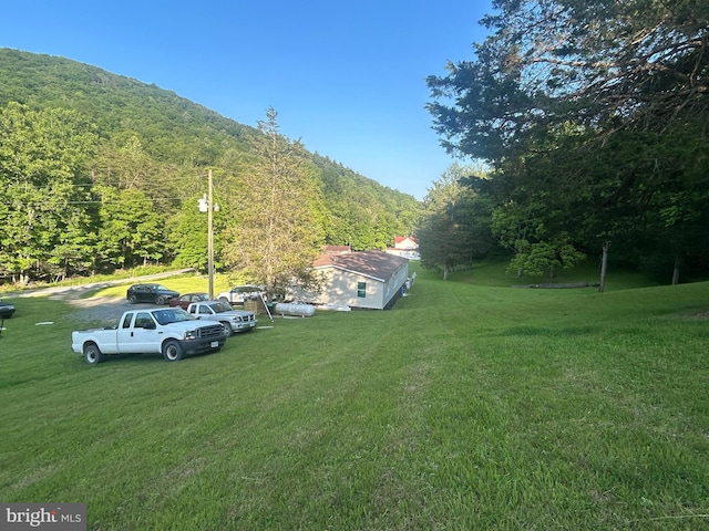 8787 Crooked Run Rd, Basye, VA 22810 - view of grassy yard with a forest view and a mountain view