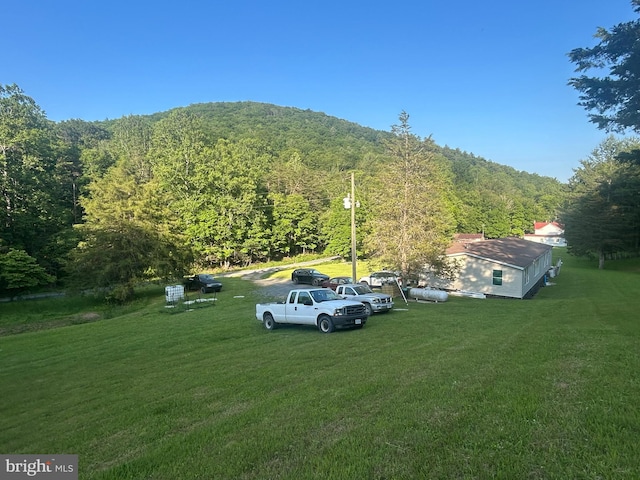 8787 Crooked Run Rd, Basye, VA 22810 - view of vehicle parking with a forest view