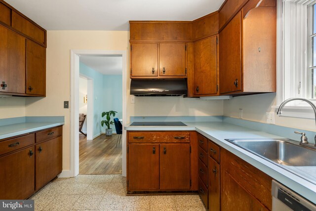 5600 11th St N, Arlington, VA 22205 - kitchen with under cabinet range hood, dishwashing machine, a sink, light countertops, and baseboards