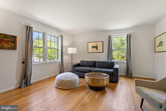 5600 11th St N, Arlington, VA 22205 - living room featuring wood finished floors, plenty of natural light, baseboards, and a decorative wall