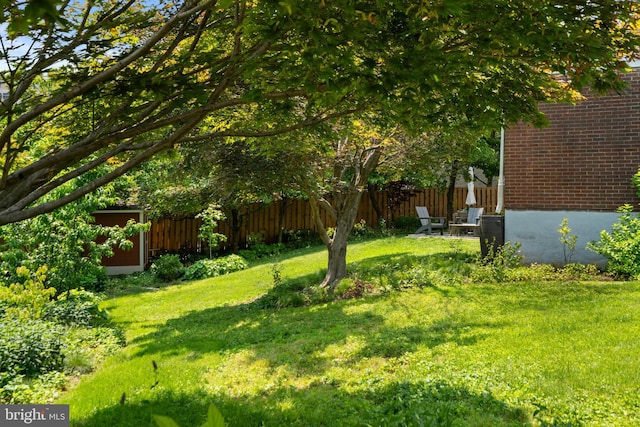 5600 11th St N, Arlington, VA 22205 - view of yard
