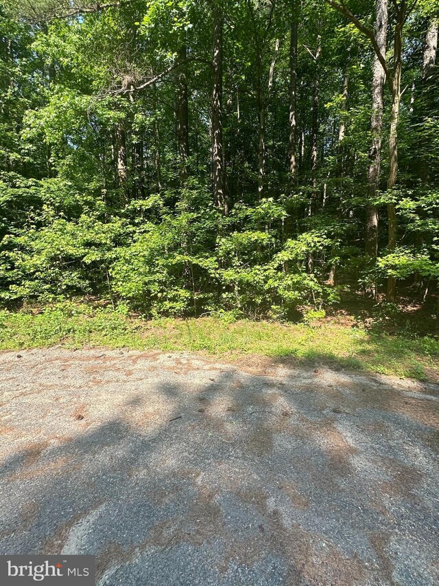 Declaration Dr, Montross, VA 22520