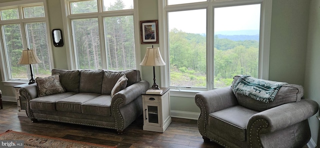 2204 Baker Mountain Dr, Yellow Spring, WV 26865 - living area with dark wood-style flooring and a view of trees