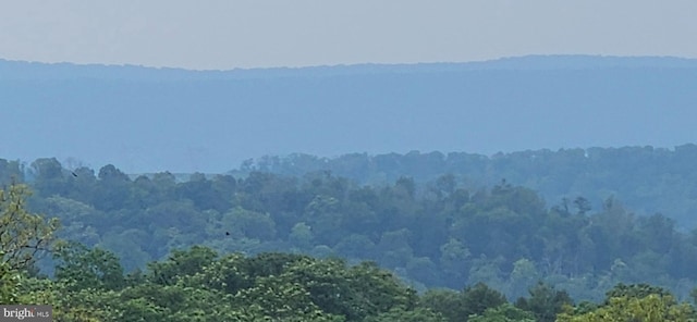 2204 Baker Mountain Dr, Yellow Spring, WV 26865 - mountain view with a heavily wooded area