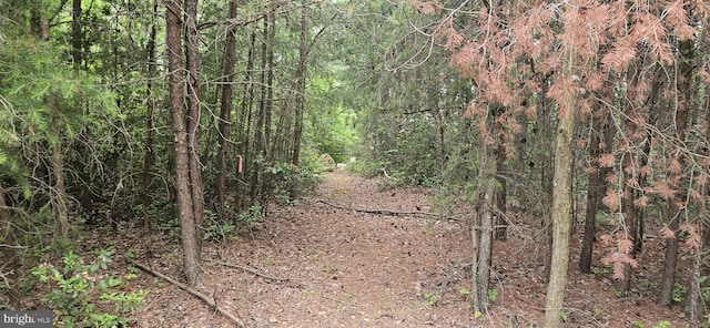 2204 Baker Mountain Dr, Yellow Spring, WV 26865 - view of woods