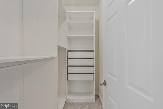 22277 Foggy Ridge Ter, Ashburn, VA 20148 - walk in closet with carpet floors