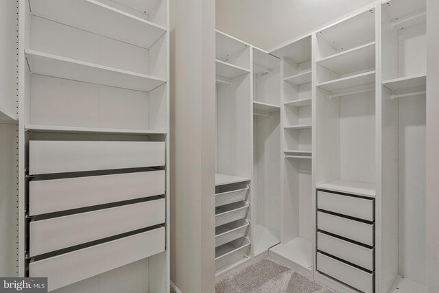 22277 Foggy Ridge Ter, Ashburn, VA 20148 - view of spacious closet