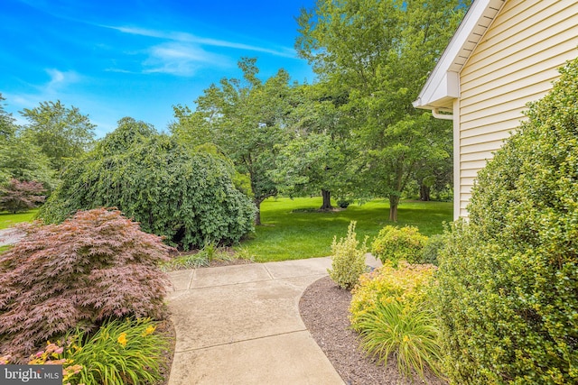 1541 Clayton Delaney Rd, Clayton, DE 19938 - surrounding community with a lawn