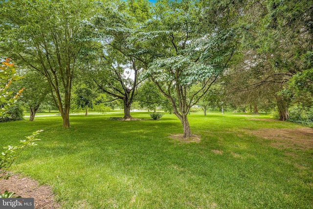 1541 Clayton Delaney Rd, Clayton, DE 19938 - view of green lawn