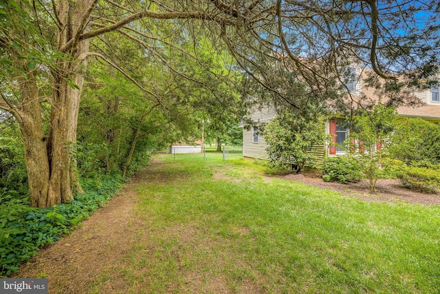 1541 Clayton Delaney Rd, Clayton, DE 19938 - view of green lawn