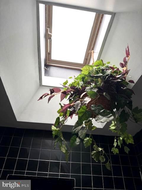 7316 Pittville Ave, Philadelphia, PA 19126 - detailed view