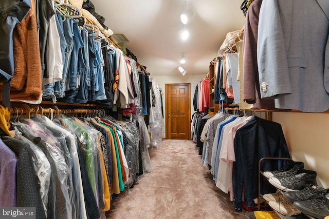 15713 Holly Grove Rd, Silver Spring, MD 20905 - walk in closet with light colored carpet