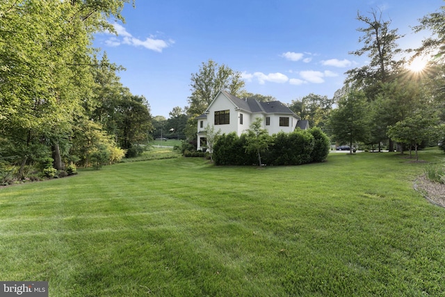 717 Miller Ave, Great Falls, VA 22066 - view of green lawn