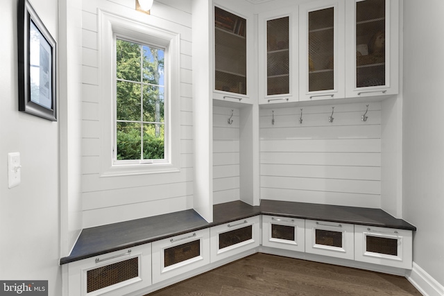 717 Miller Ave, Great Falls, VA 22066 - mudroom featuring plenty of natural light and dark wood-type flooring