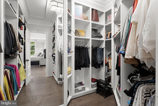 717 Miller Ave, Great Falls, VA 22066 - walk in closet with wood finished floors and attic access