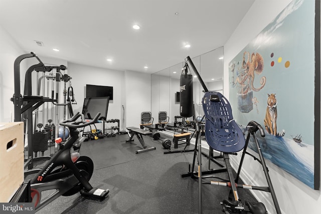 717 Miller Ave, Great Falls, VA 22066 - gym with recessed lighting