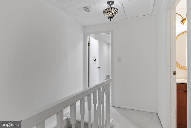 13825 Palmer House Way Unit 32-237, Silver Spring, MD 20904 - hallway with light carpet