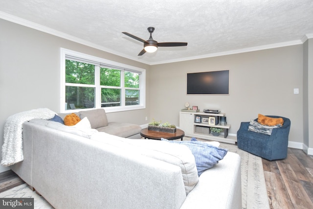 8755 Cather Ave, Manassas, VA 20110 - living room with wood finished floors, a ceiling fan, baseboards, crown molding, and a textured ceiling