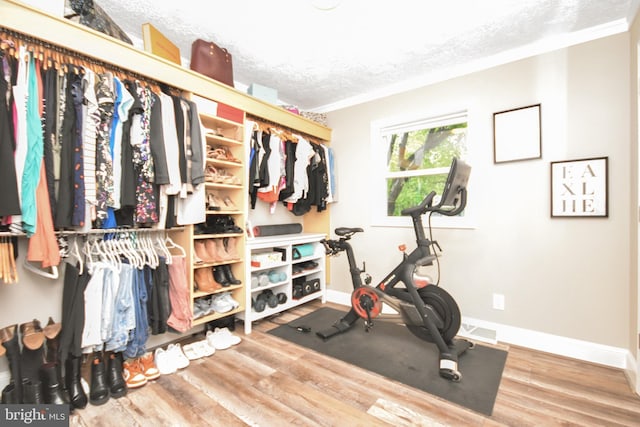 8755 Cather Ave, Manassas, VA 20110 - walk in closet featuring wood finished floors