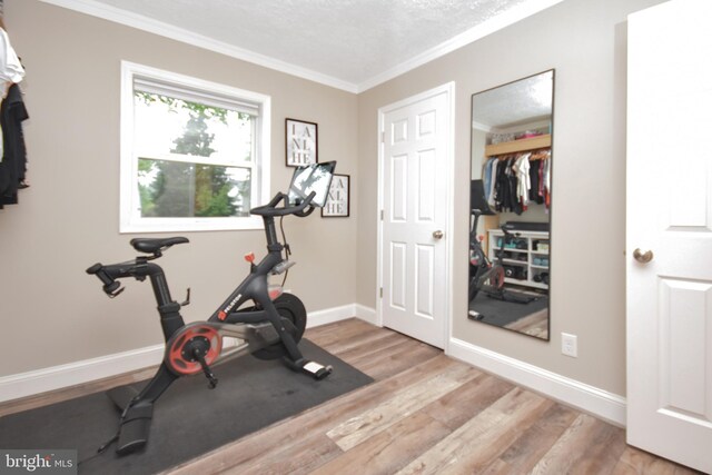 8755 Cather Ave, Manassas, VA 20110 - exercise room featuring crown molding, light wood finished floors, and baseboards