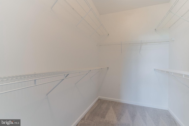 23480 Epperson Sq, Brambleton, VA 20148 - walk in closet with light carpet