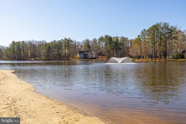 835 Campers Ln, Ruther Glen, VA 22546 - water view with a forest